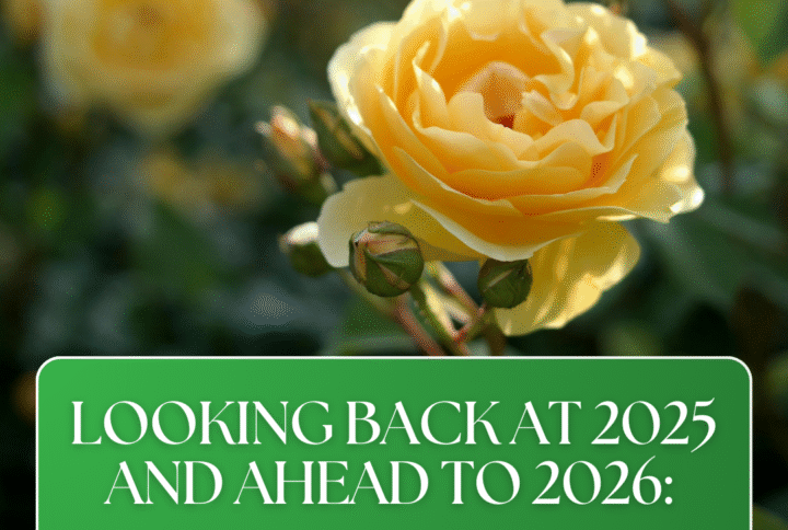 Looking Back at 2025 and Ahead to 2026: Staying Connected in a Changing Floral Industry