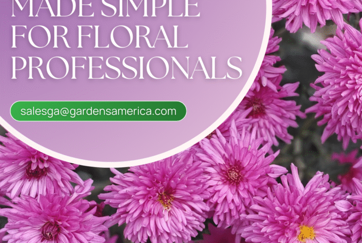 Valentine’s Day Made Simple for Floral Professionals