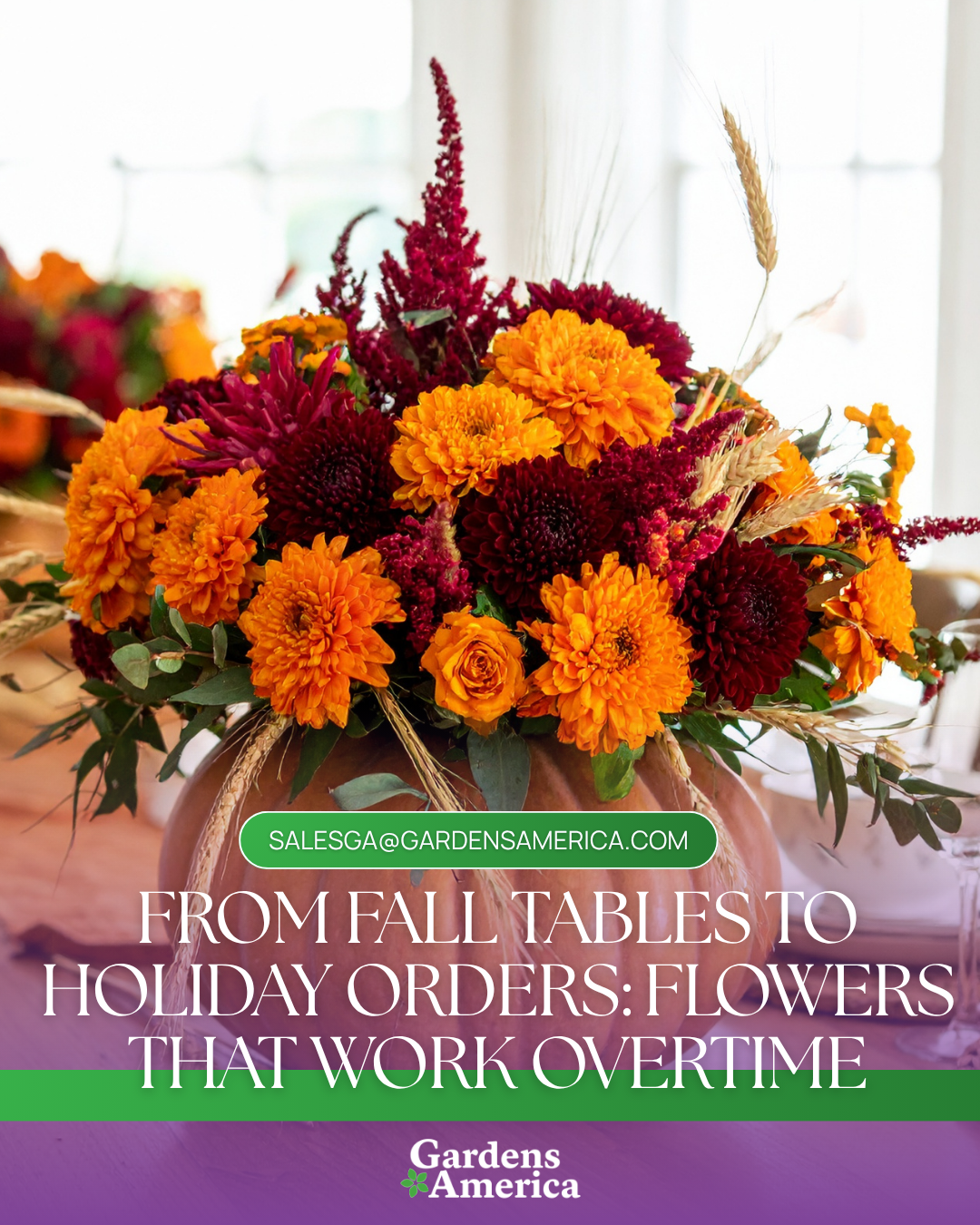 From Fall Tables to Holiday Orders: Flowers That Work Overtime